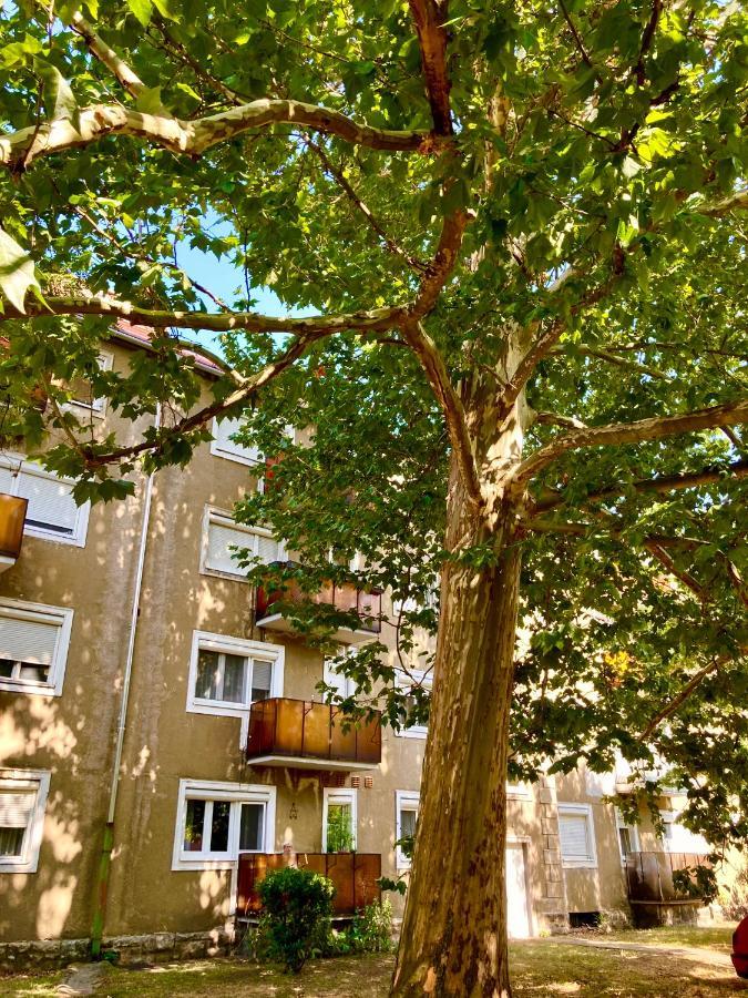 Esther Apartman Tatabanya Bagian luar foto